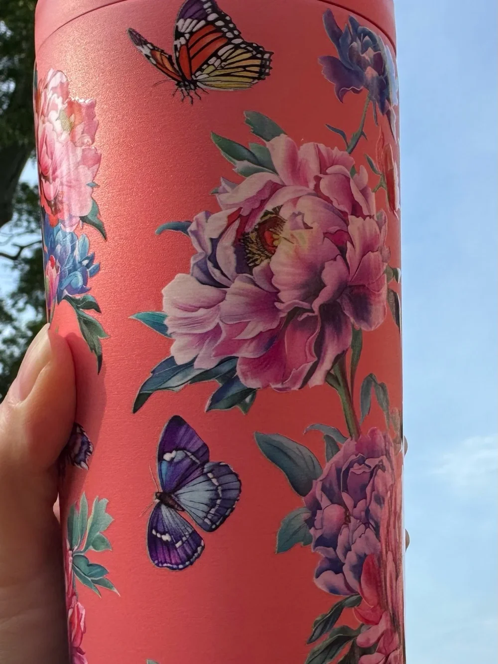 Hydrapeak 25 oz